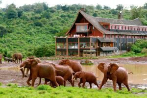 8 Days Best of magical Kenya adventure wildlife safari tour