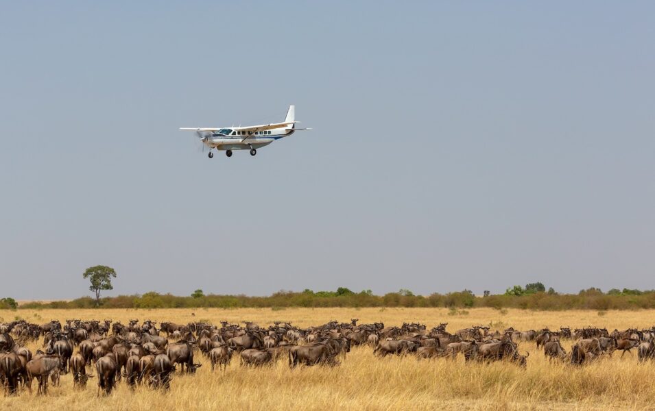 Kenya flying packages