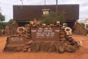 3 Days / 2 Nights Tsavo East & West kenya safari tour