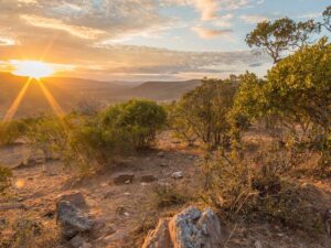 7 Days Kenya Safari tour- Masai Mara, Lake Nakuru, Lake Naivasha & Amboseli