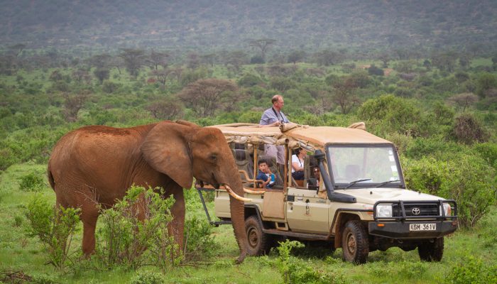 Elephant Bedroom Camp - Samburu