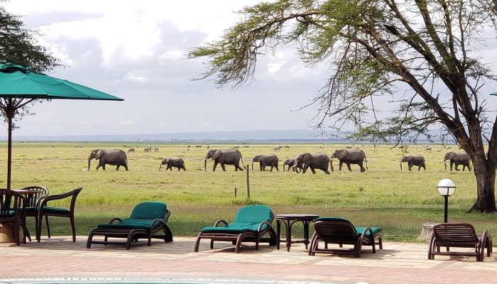 Oltukai Lodge - Amboseli National Park