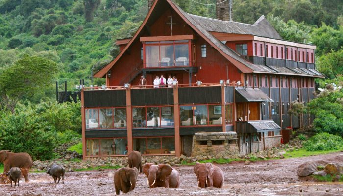 The Ark Lodge - Aberdare National Park in Kenya